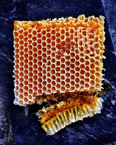 Honeycomb - David Loftus Print Shop