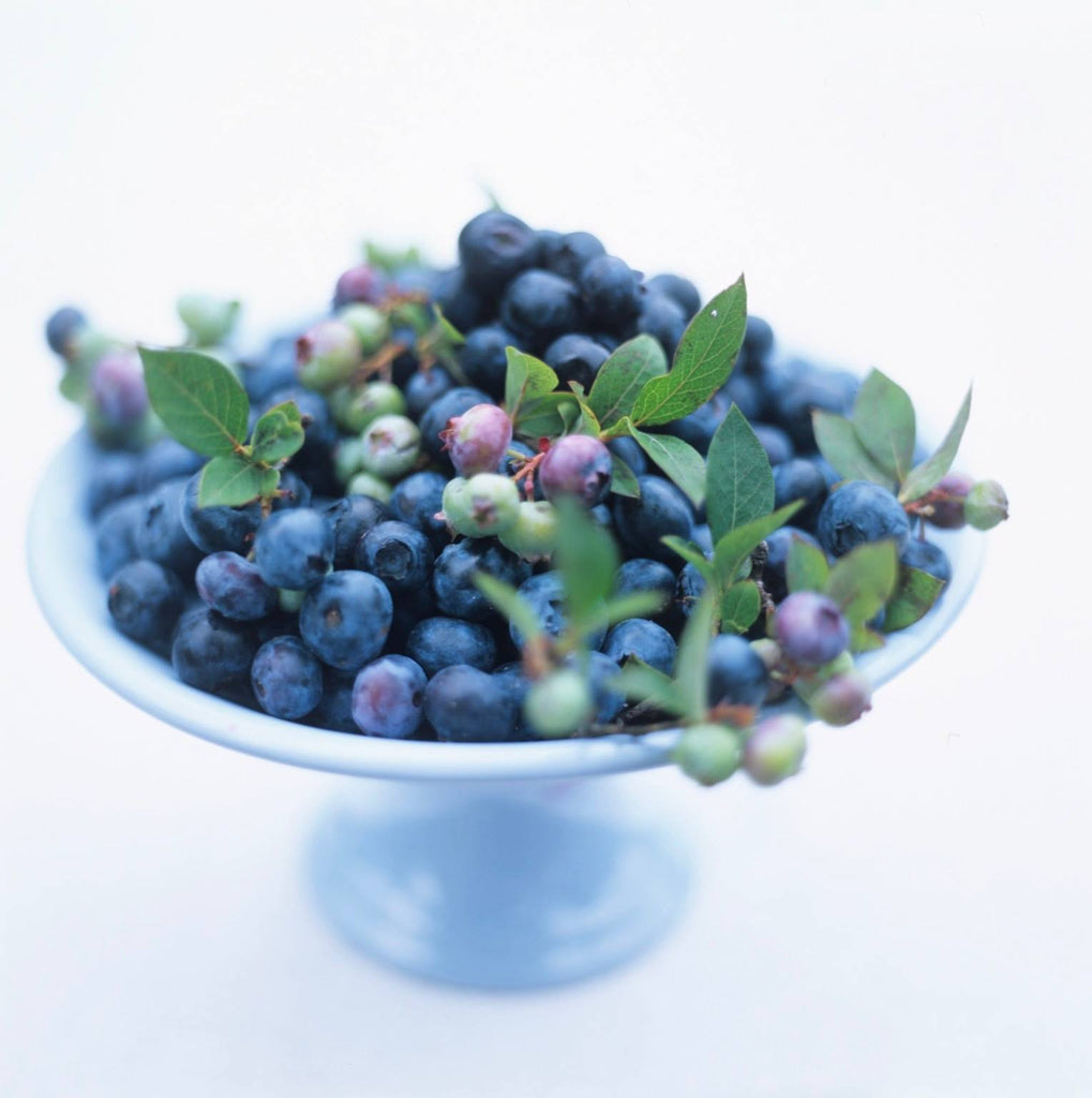 Blueberries - David Loftus Print Shop