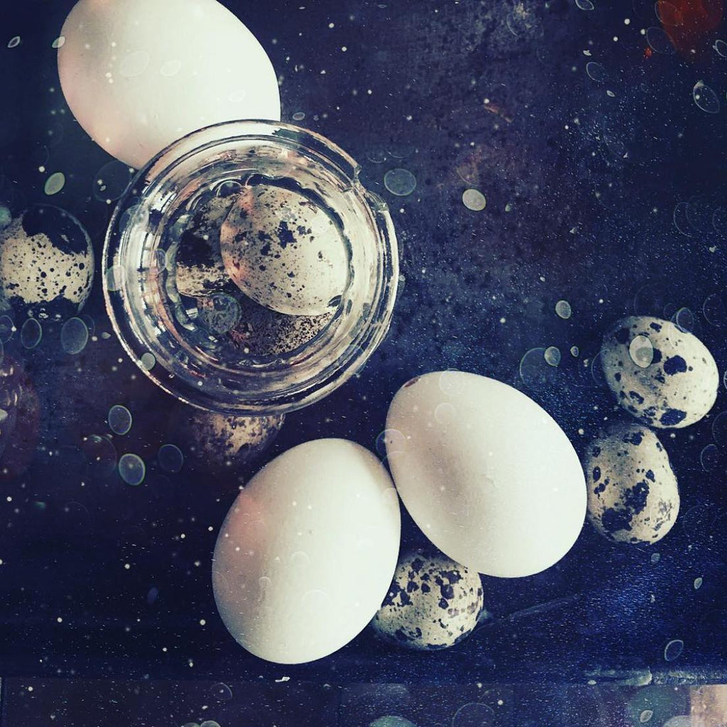 Quail Eggs - Two - David Loftus Print Shop