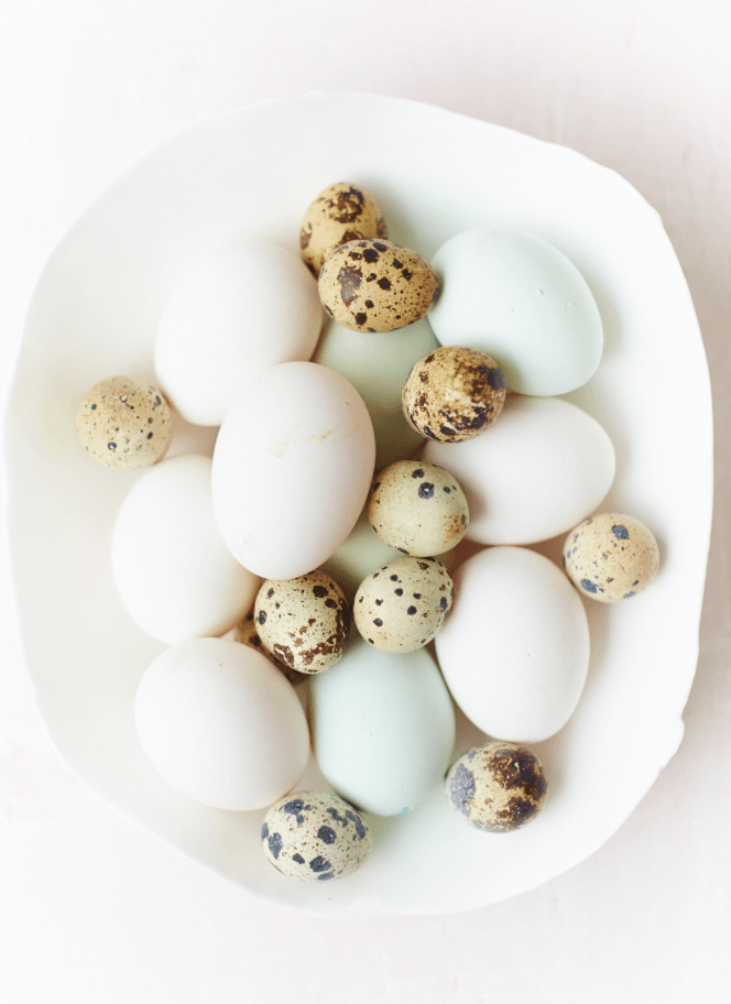 Speckled eggs - David Loftus Print Shop