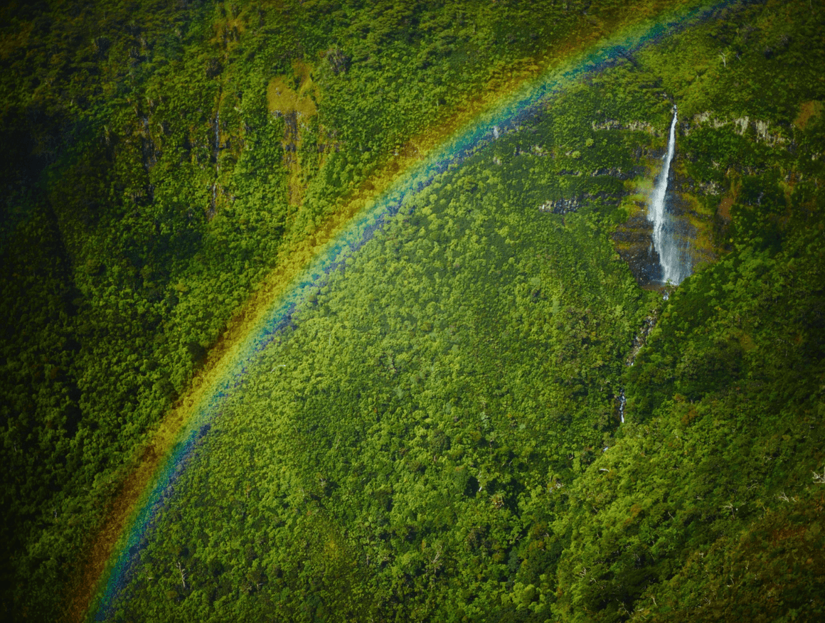 Mauritius Rainbow - David Loftus Print Shop