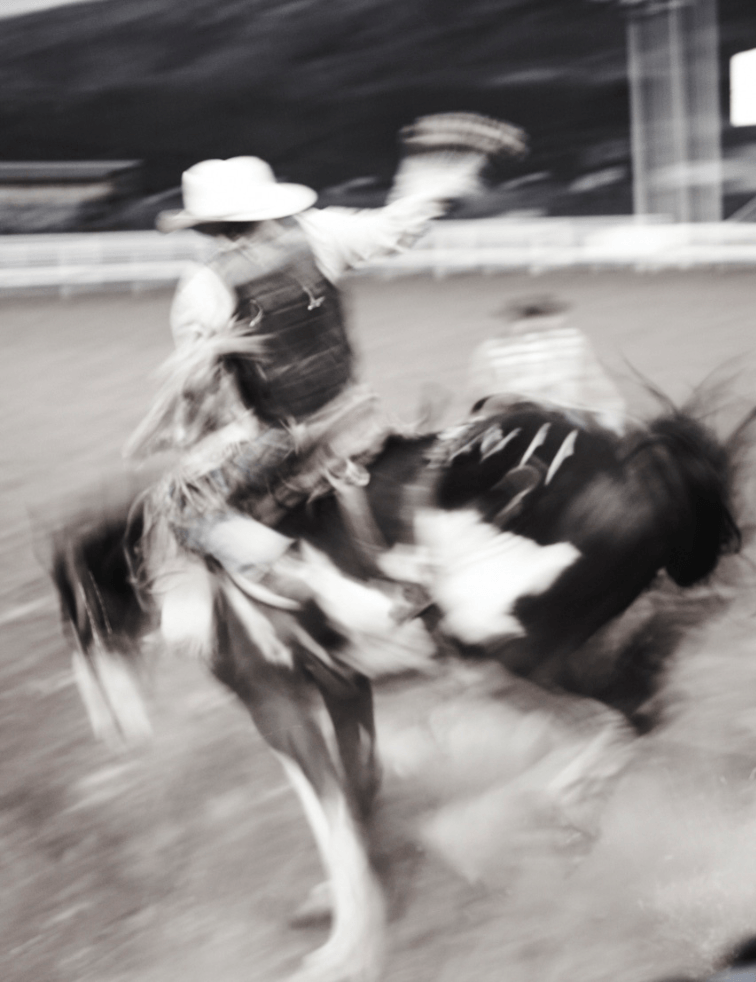 Rodeo - David Loftus Print Shop