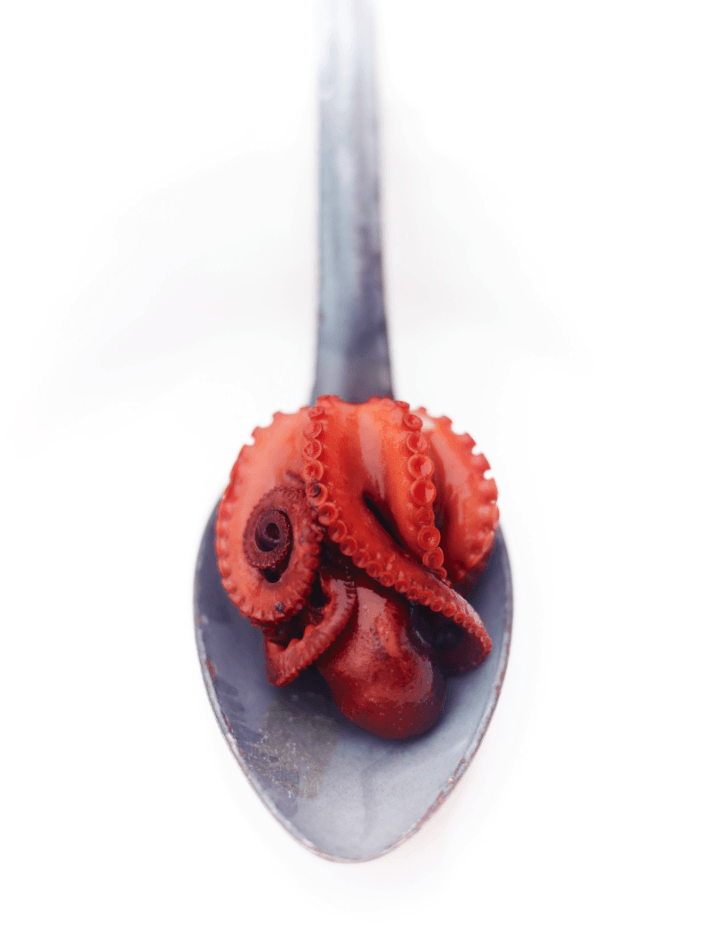 Octopus Spoon - David Loftus Print Shop