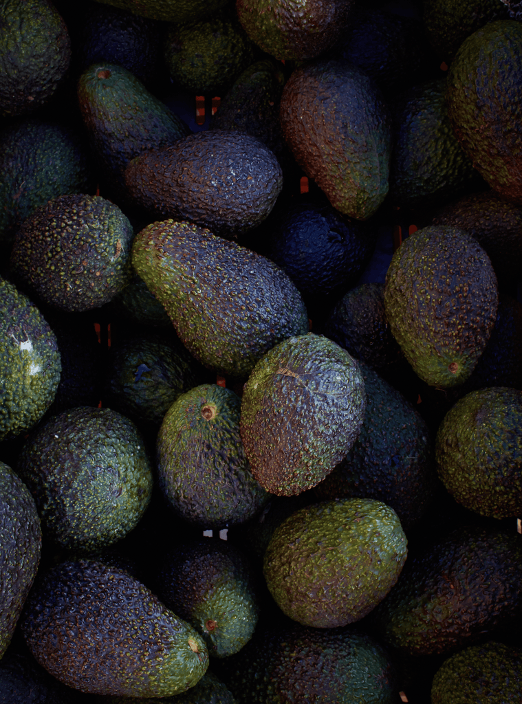 Avocados of Tel Aviv - David Loftus Print Shop