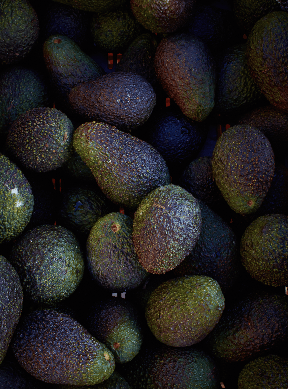 Avocados of Tel Aviv - David Loftus Print Shop