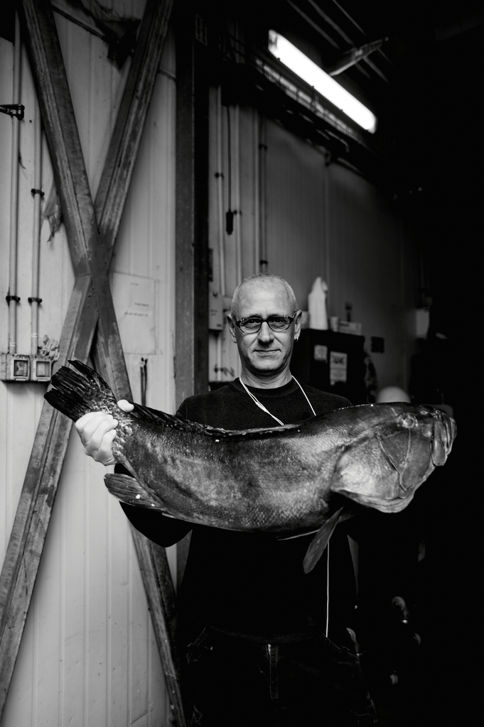 Barak's Fishmonger - David Loftus Print Shop