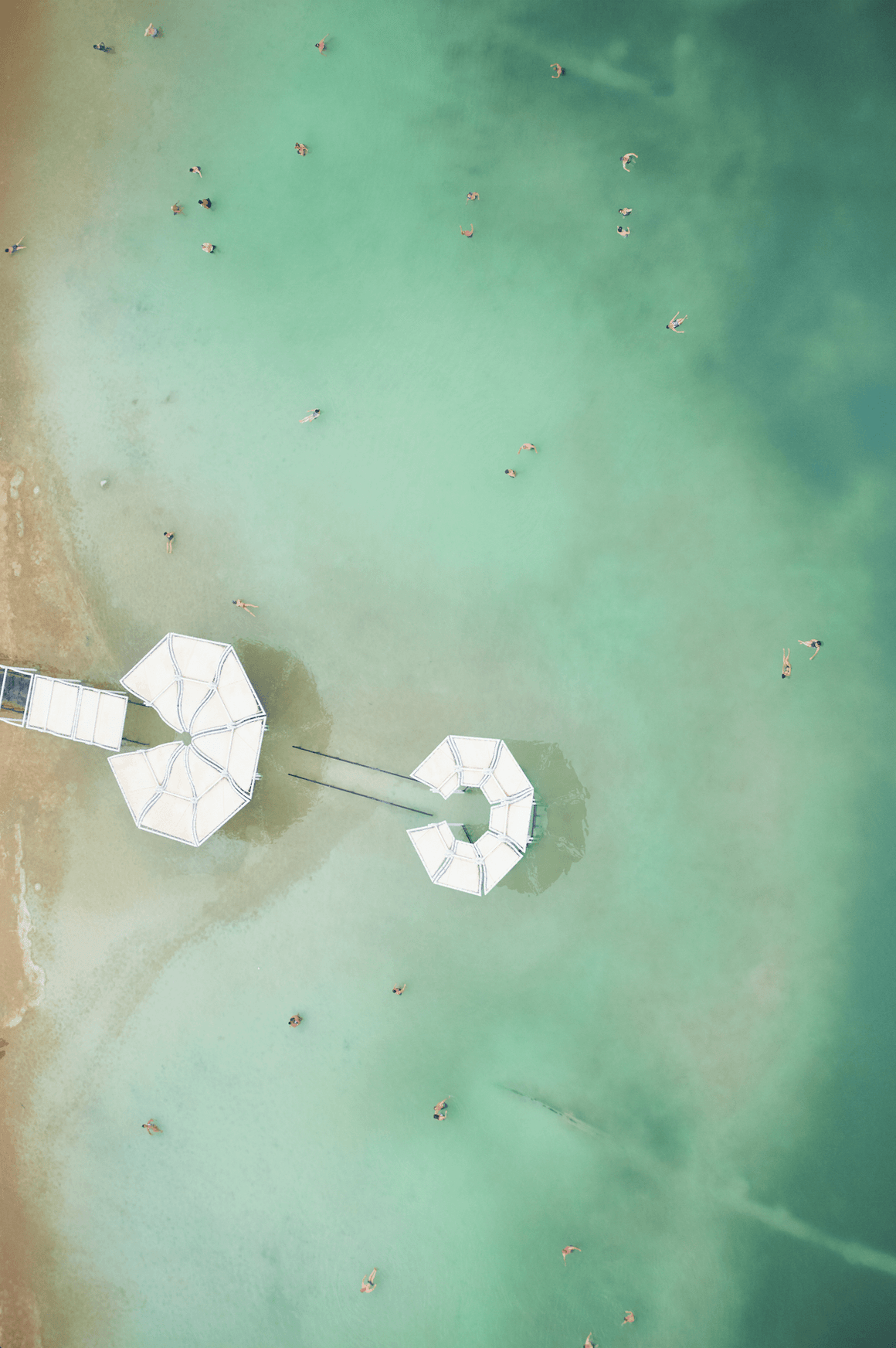 Dead Sea Swimmers - David Loftus Print Shop