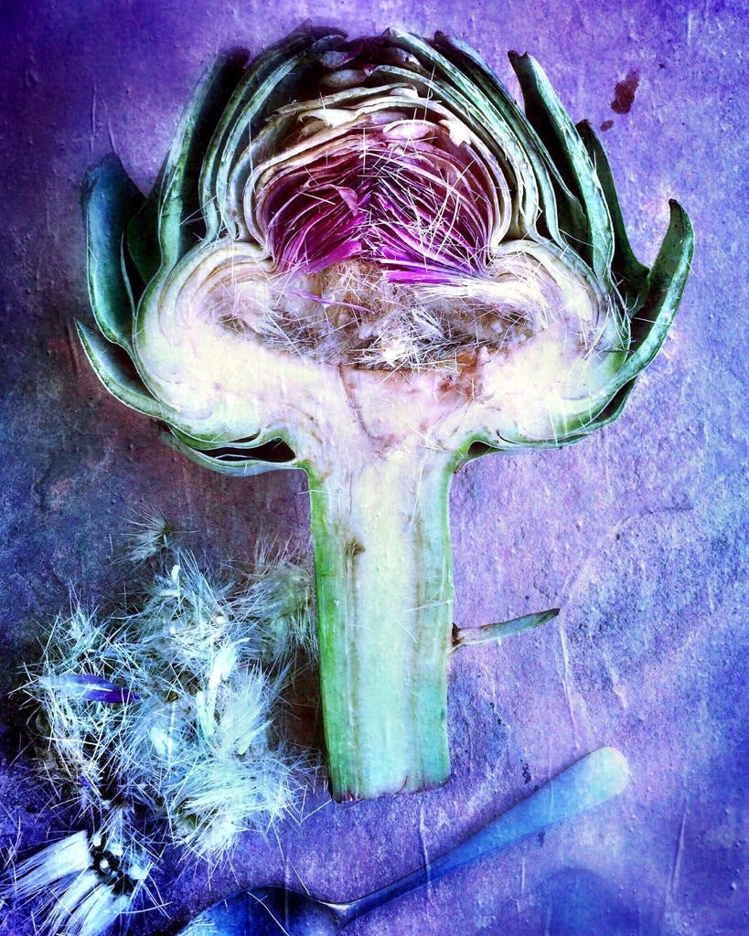 Purple Artichoke - David Loftus Print Shop