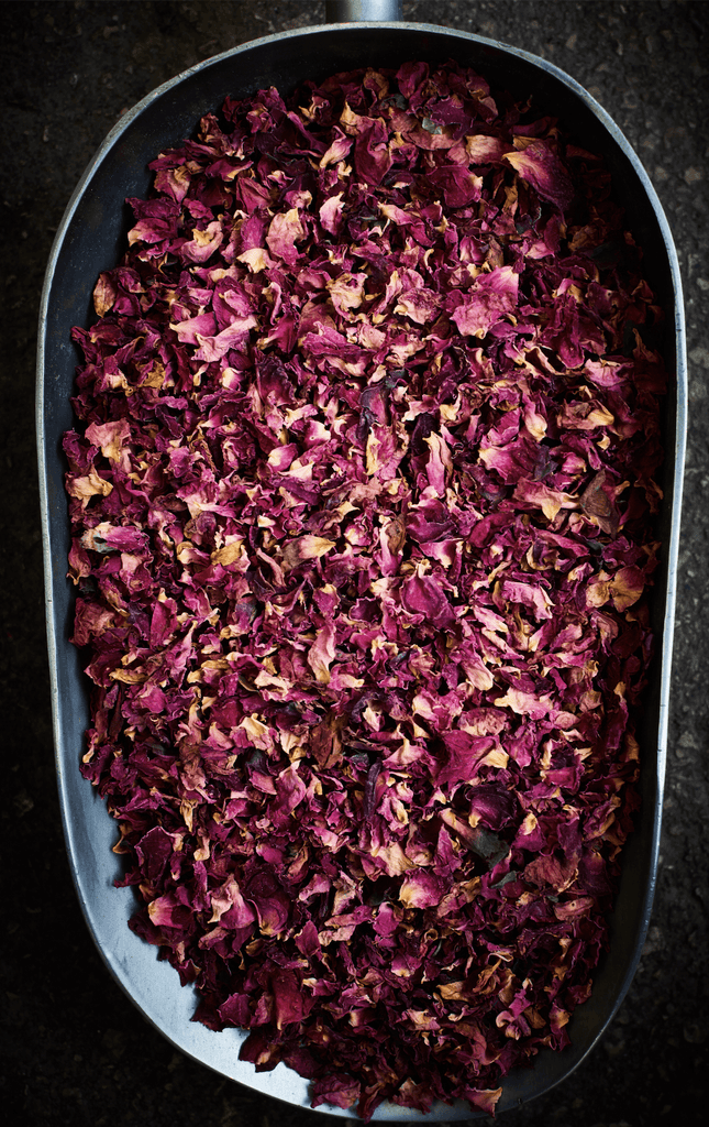 Rose Petals of Tel Aviv - David Loftus Print Shop