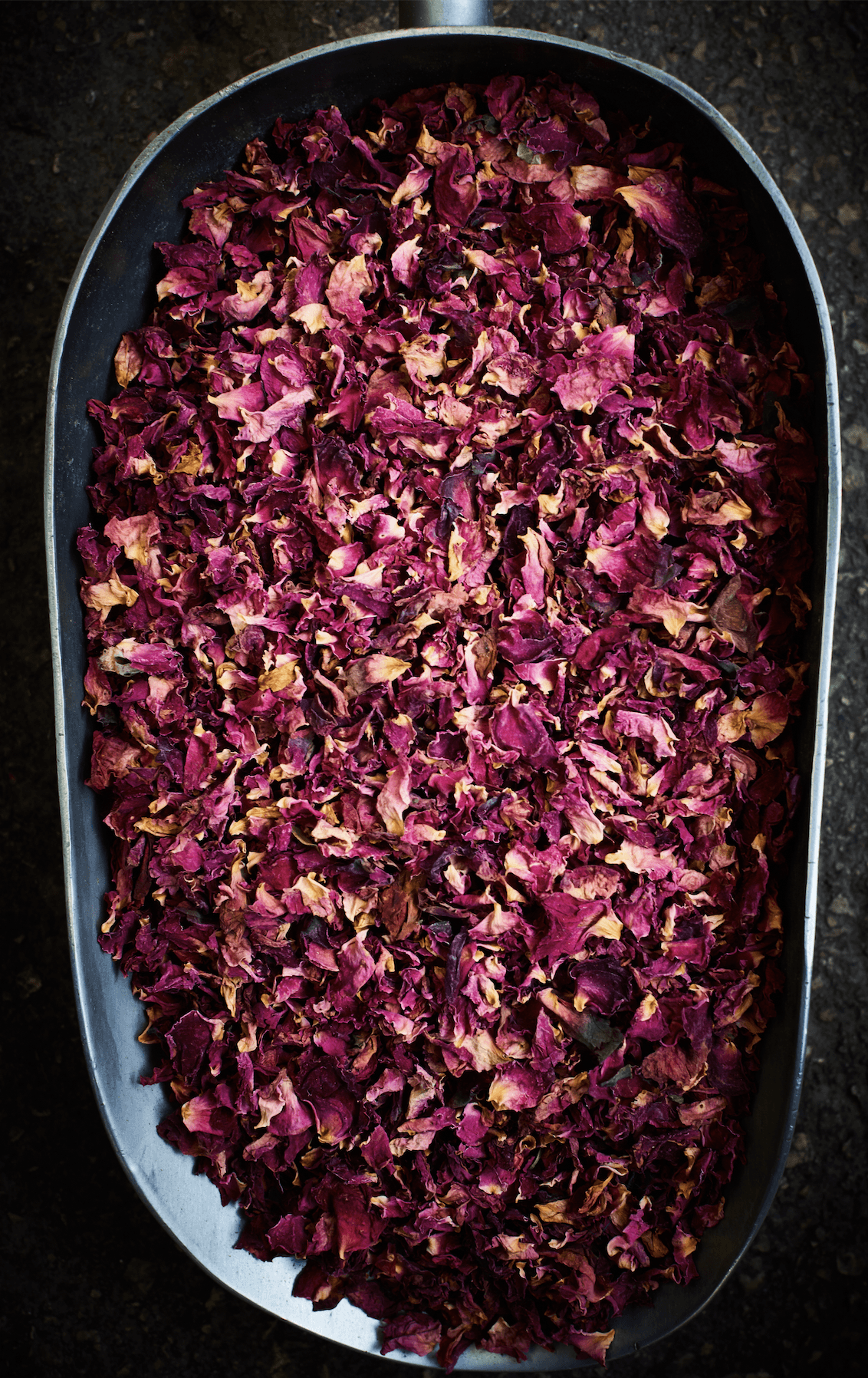 Rose Petals of Tel Aviv - David Loftus Print Shop